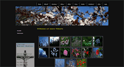 Desktop Screenshot of behindertenseelsorge.wtal.de